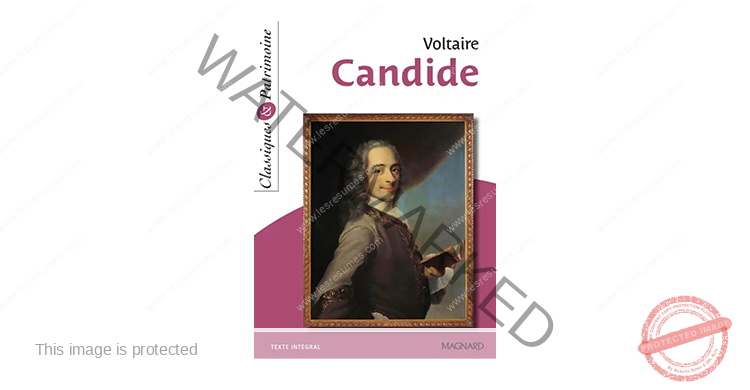 candide chapitre 30 analyse linéaire