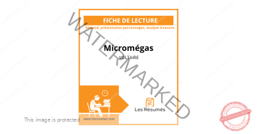 Image de la page de couverture pour la fiche de lecture sur Micromégas de Voltaire comprenant résumé, présentation des personnages et analyse de l'oeuvre