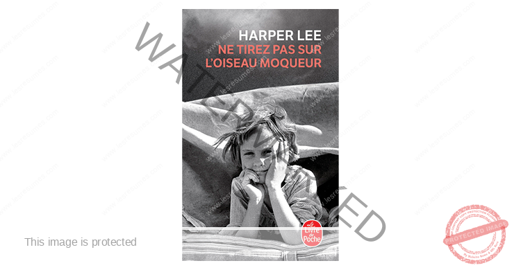 Ne tirez pas sur l'oiseau moqueur : résumé chapitre par chapitre