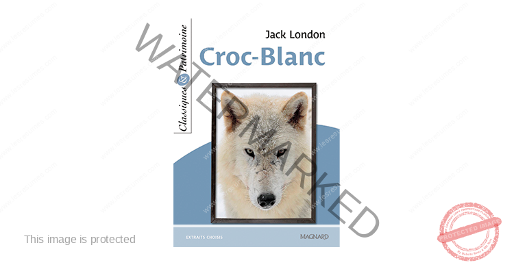 Image Page De Garde Croc Blanc Edition Jack London Jack London, Croc-Blanc : résumé chapitre par chapitre
