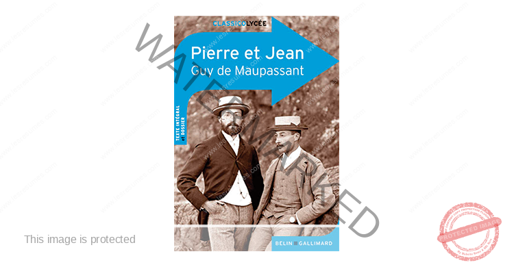 Pierre Et Jean Nombre De Pages