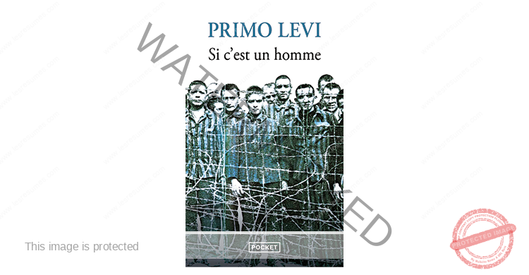 Primo Levi, Si c'est un homme : résumé chapitre par chapitre
