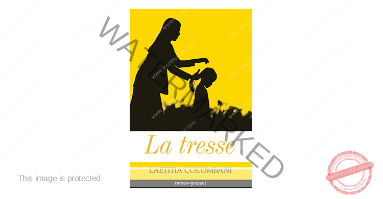 La tresse (Laetitia Colombani) - Analyse du livre