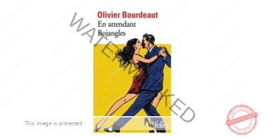 olivier-bourdeaut-en-attendant-bojangles