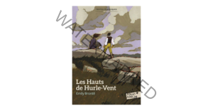 Le Monde D En Haut Resumé Par Chapitre Résumé de Les Hauts de Hurle-vent d'Emily Brontë (chapitre par chapitre)