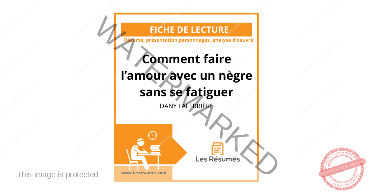Résumé Comment faire l’amour avec un nègre sans se fatiguer | Laferrière