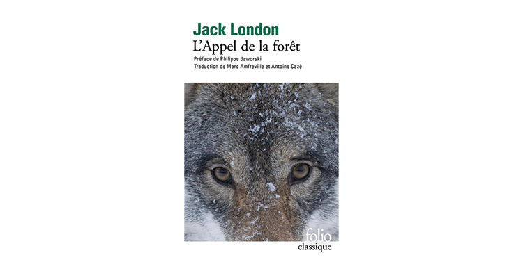 Resume Appel De La Foret