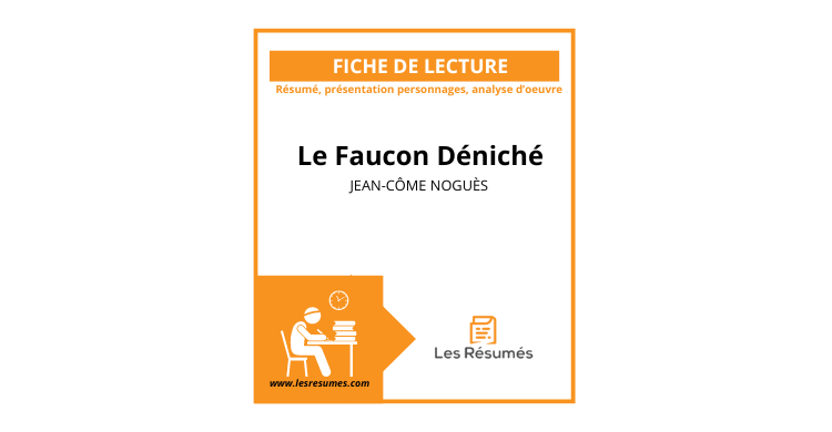 Résumé par chapitre : Le Faucon Déniché | Jean-Côme Noguès