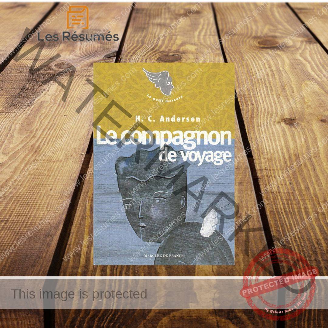 Répertoire De Voyage Delsey - Petit Carnet D'adresses Compagnon - Occasion